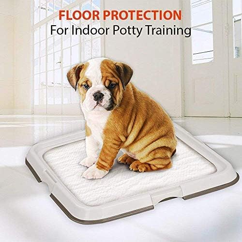PAWISE Dog Training Pad Holder Tray, Indoor Puppy Potty Pee Pad Floor Tray, 24''X24', Large