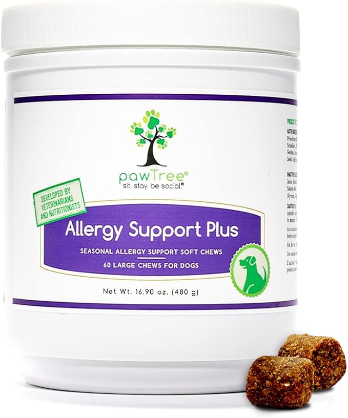 pawTree Natural Allergy Support Plus for Dogs-Ideal for Itching, Irritated Skin, Seasonal and Food Allergies, Hot Spots. Supplement your pet will love. Small Chews for Pets - 60 Count (Large)