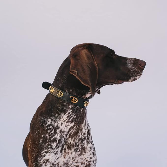 Buckle-Down Dog Collar, Disney, Signature D Logo Charms, Extra Small 6 to 9 Inch Length 0.38 Inches Wide