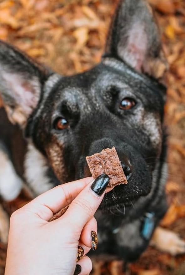 Operation Good Boy Dog Treats - 1/4" Beef Squares Freedom Treats | Natural, Farm-Raised Meat - Vet-Formulated AAFCO approved ingredients | Perfect Training Treats for Small to Large Dogs