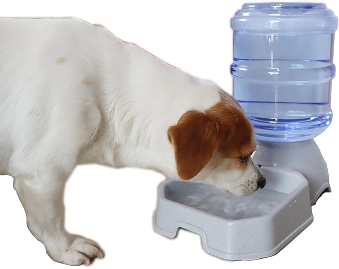 2 Pack Automatic Dog Cat Feeder and Water Dispenser ,Gravity Multi Pet Drinking Fountain , Set with Pet Food Bowl for Medium Dog Puppy Kitten, Big Capacity 1 Gallon x 2 (Waterer+Feeder)