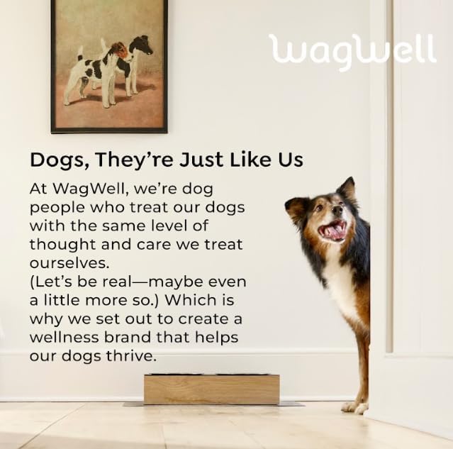 Ahiflower Omega Oil - Vet-Formulated Skin, Coat, Hip and Joint Supplement for Dogs - Plant-Based Omega 3, 6 and 9 Supplement - Natural Non-GMO Dog Omega Oil, 8 fl.oz. Pump Bottle