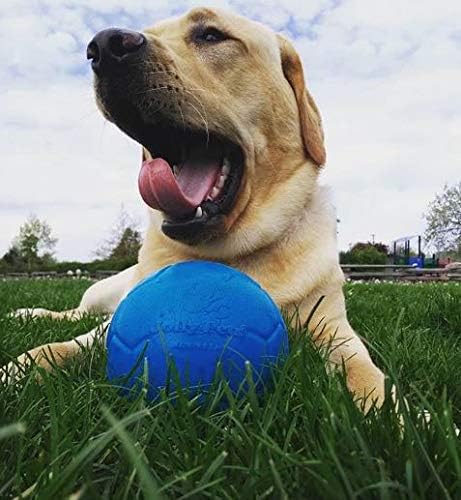 Jolly Pets Medium Soccer Ball Floating-Bouncing Dog Toy, 6 inch Diameter, Ocean Blue