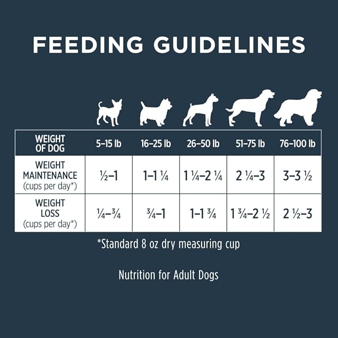 Instinct Raw Boost Healthy Weight Grain Free Recipe with Real Chicken Natural Dry Dog Food, 20 lb. Bag