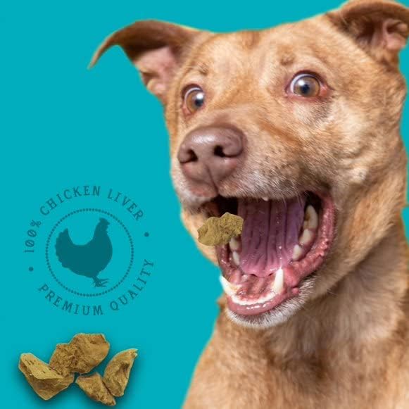 Stewart Freeze Dried Dog Treats, Beef Liver, Salmon, Chicken Liver & Chicken Breast, 4 oz, 12 oz, 14 oz, 21 oz, Resealable Tub, Grain Free & Gluten Free, Single Ingredient, Dog Training Treats