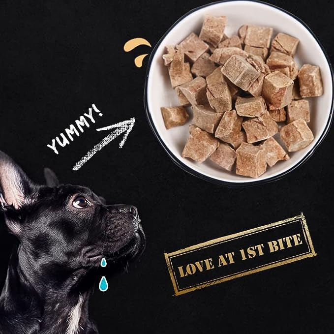 Fully Natural Organic Freeze Dried Dog/Cat Treats Food Toppers Single Ingredient, USA Made, Healthy, High Value, Gluten Grain Free, High Protein, Diabetic Friendly (1, Salmon)