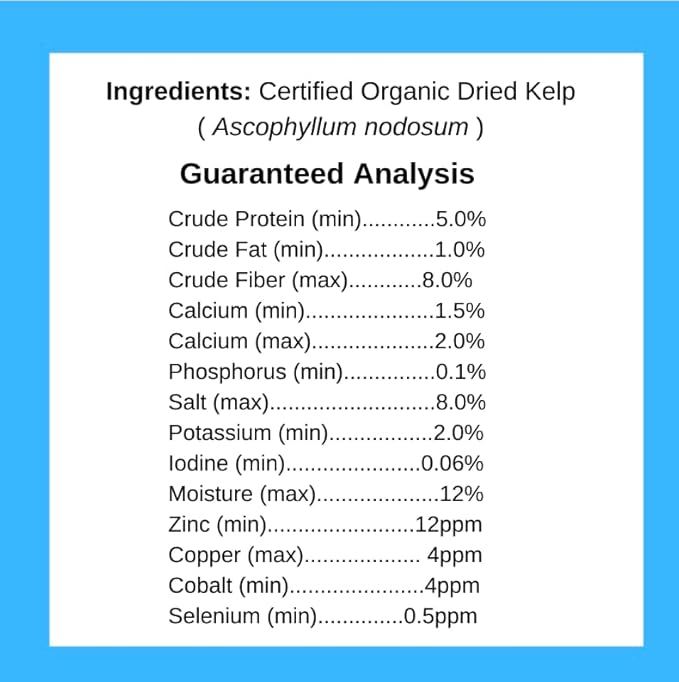 Kelp Powder, Dried Sea Kelp Supplement for Optimal Pet Health, Multifunctional Dog Vitamins Rich with Iodine & Omegas for Thyroid Health, Dental, Immune, Digestive, & Heart Health, 453g