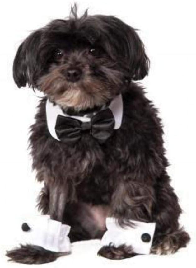 Rubie's Bowtie and Cuff Set Pet Accessories, Medium/Large