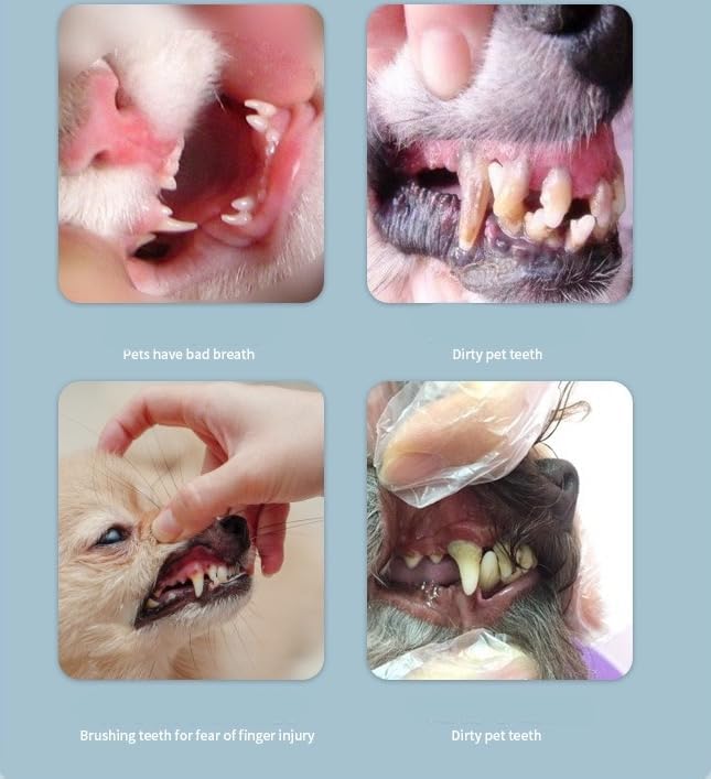 Silicone Cat Finger Toothbrush, 4Pcs Dog Toothbrush, Cleaning Kit Pet Toothbrush for Small to Large Dogs Cats Teeth Cleaning &Dental Care