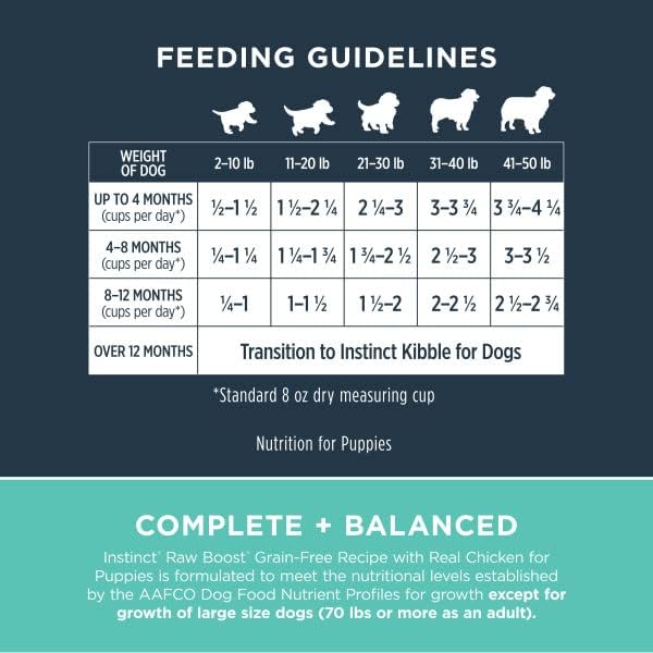 Instinct Raw Boost Puppy Grain Free Recipe with Real Chicken Natural Dry Dog Food, 4 lb. Bag