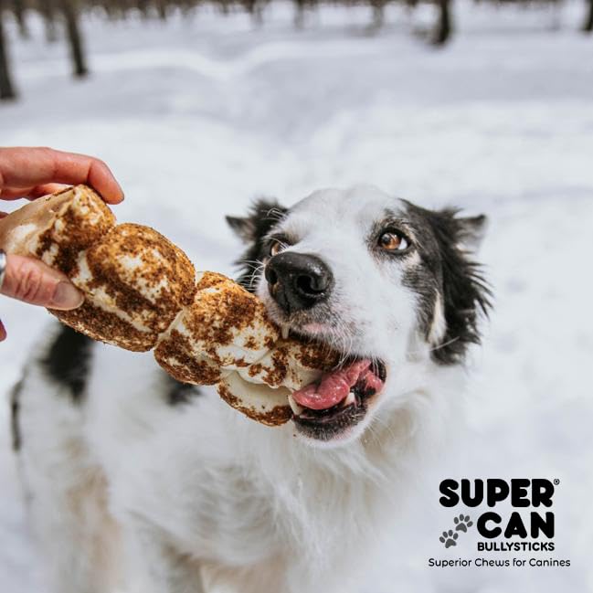 Supercan Bully Sticks Beef Cheek Rolls for Dogs 3"-5" (10 Count) | 100% Grass Fed Beef | Rawhide Free Dog Chews Long Lasting | Immune Boosting Dog Bones Long Lasting | Long Lasting Dog Chews