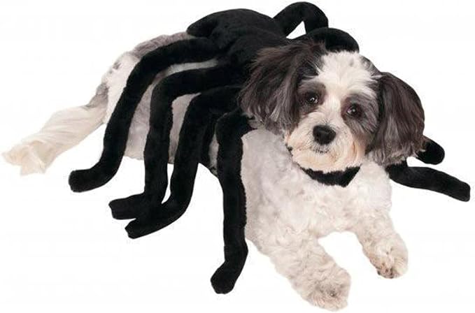 Rubie's Pet Spider Harness Costume, Medium