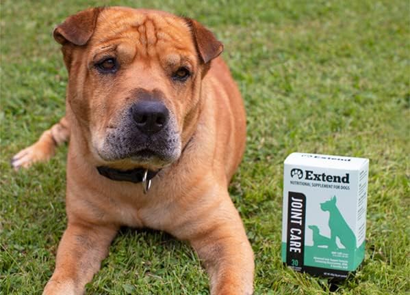Extend - Joint Care for Dogs - 1 Month Supply - Glucosamine for Dogs with MSM & Ascorbic Acid - Pure Grade Ingredients - 100%