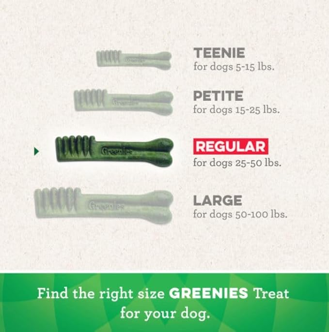 Greenies Gingerbread Flavor Regular Size Veterinarian-Recommended for Dental Care, Dog Treat Chews, Great Holiday Dog Stocking Stuffers, Limited Edition, 12 oz. Pack of 12