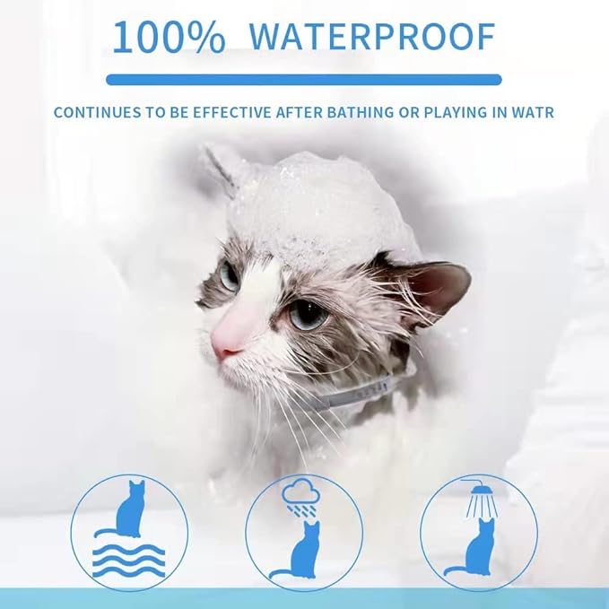 Flea Collar for Cats, Flea and Tick Collars for Cats and Kittens, 8 Month Protection, Gray, 1 PACK CAT