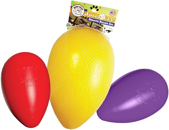 Jolly Pets Jolly Egg Plastic Dog Chew Toy 8 inch Purple