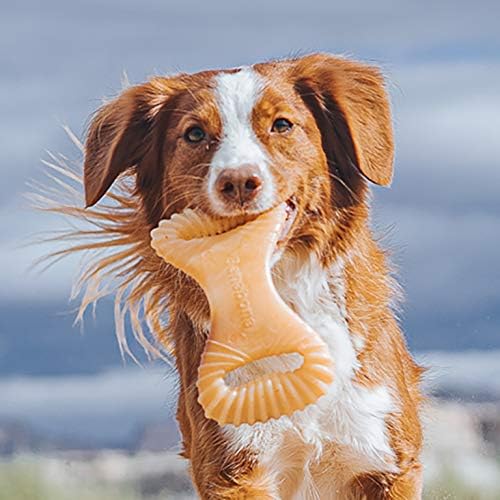 Benebone Dental Durable Dog Chew Toy for Aggressive Chewers, Real Chicken, Made in USA, Medium