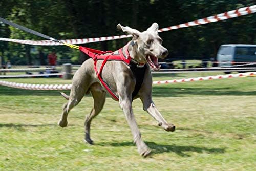 Neewa Adjustable Racing Harness (Large, Red) - Ideal for Dog Pull with Bike, Skateboard, Rollerblade, Cart, Canicross