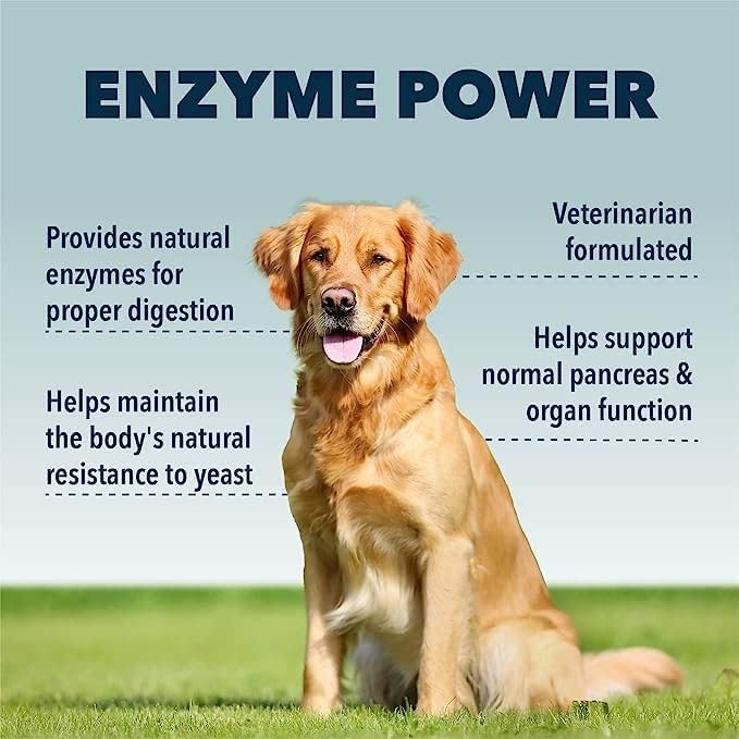 Digest - Digestive Enzymes with Probiotics for Dogs - 15 to 45 Day Supply, Depending on Dog’s Weight - Daily Gut and Immune Support - Vet Formulated - Easy to Mix