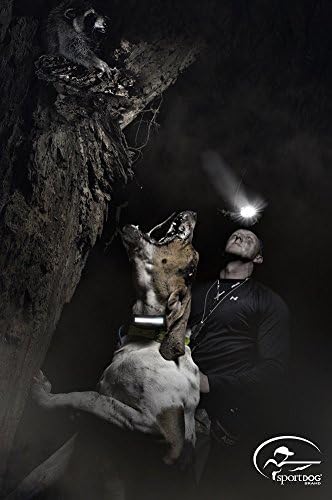 SportDOG Brand HoundHunter 3225 Remote Trainer - 2 Mile Range - Rechargeable, Waterproof Multi Dog Training Collar with Tone, Vibration, and Static