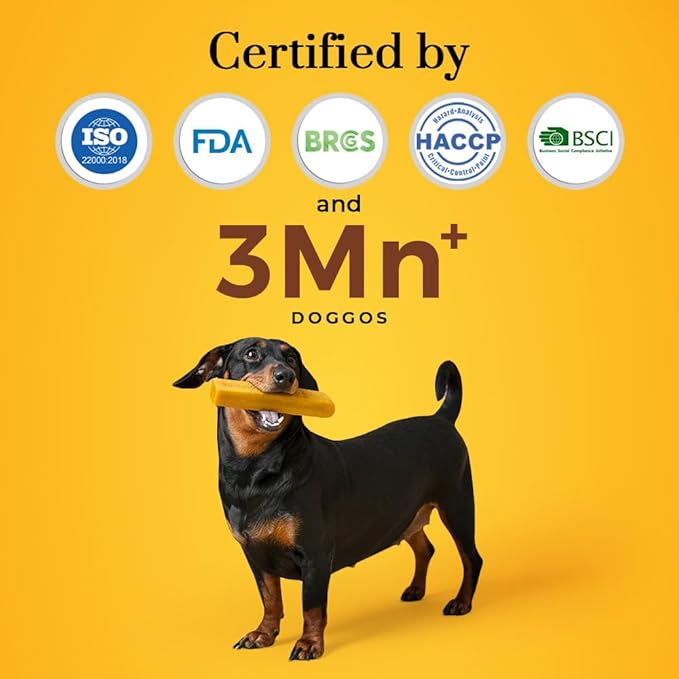 Dogsee Himalayan Yak Cheese Dental Chews for Dogs 1lb (Medium - 6 Chews) | 100% Natural | No Grain, No Gluten | Odorless Dog Treats