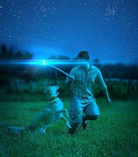 Chuckit Max Glow Ball Dog Toy, Medium (2.5 Inch Diameter) for Dogs 20-60 lbs, Pack of 2