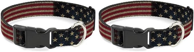 Buckle-Down Plastic Clip Collar - Vintage US Flag Stretch - 1" Wide - Fits 9-15" Neck - Small (Pack of 2)