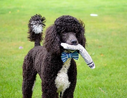 Pet Qwerks Plush Interactive Dog Toys - Newspaper Squeaker Toy - 10 in,Large breeds