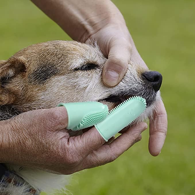 10 Pack Dog Finger Toothbrush Dog Teeth Cleaning Brush 2-Finger Dog Tooth Brushing Kit Dog Cat Toothbrush with Bristles Puppy Dental Care Toothbrush for Small Medium Dog Cat Pet