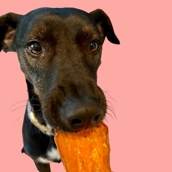 Petaluma Sweet Potato Dog Treats - Premium One-Ingredient Dog Jerky, Healthy Alternative to Meat, Organic Chews for Dogs, with Fiber and Beta-Carotene, Made in The USA, 12oz