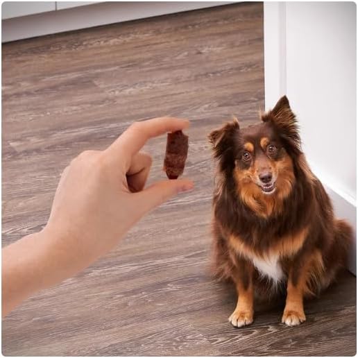 Golden Rewards Air- Dried Jerky Treats Pigs in a Blanket for Dogs, 16 oz