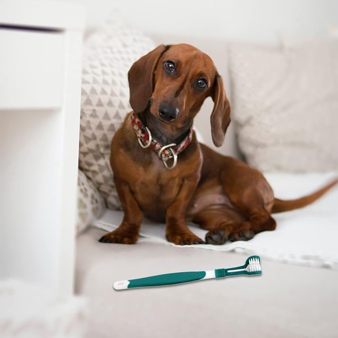 Mipcase 2pcs Tooth for Dogs Cleaning Brush Puppy Supplies Green Kitten Dental Cat Triple Toothbrush Dog Finger Gentle Large Care Gum Oral Handle Pet Hair Headed Small Toothbrushes