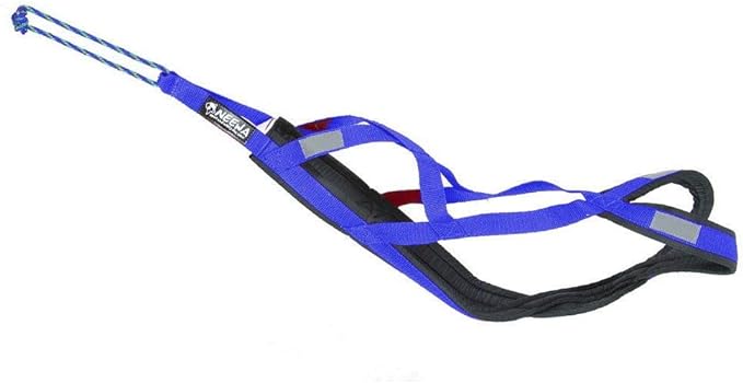 Neewa Sled Pro Harness (XXX-Large, Blue), Dog Pulling Harness, Husky Harness, Mushing Harness, X Back Harness Dog for Dog Exercise, Bikejoring, Skijoring, Dog Sledding, Canicross, Dog Harness