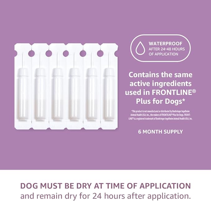 Amazon Basics Flea and Tick Topical Treatment for Large Dogs (45-88 lbs), Unscented, 6 Count (Previously Solimo)