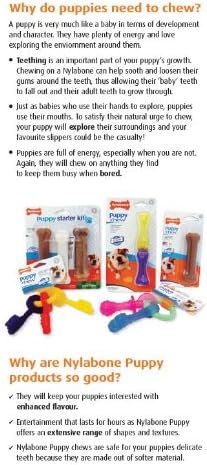 Nylabone Flexi Chew Moderate Dog Chew Toy Bones & Healthy Edibles Chew Treat Triple Pack, Chicken & Bacon, X-Small/Petite (3 Count)