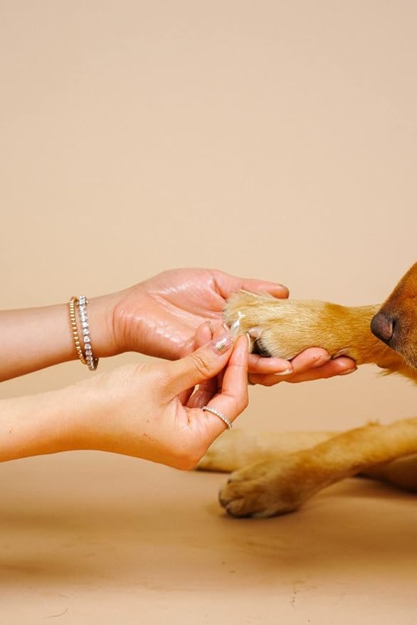 Pet Massage Oil Capsules for Allergies, Dry, Itchy & Irritated Coat & Paws - Healthy Skin & Shiny Coat - 90 Capsules (Mango Scent)