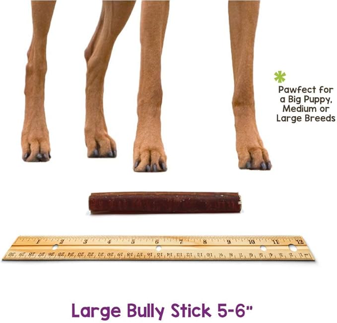Nature Gnaws Bully Sticks for Dogs - Premium Natural Beef Dental Bones - Long Lasting Dog Chew Treats for Aggressive Chewers - Rawhide Free - 5-6 Inch