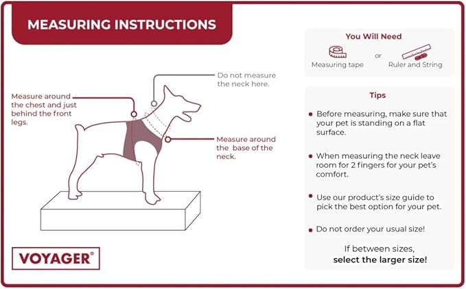 Voyager Step-in Air Dog Harness - All Weather Mesh Step in Vest Harness for Small and Medium Dogs by Best Pet Supplies - Red Trim, M (Pack of 2)