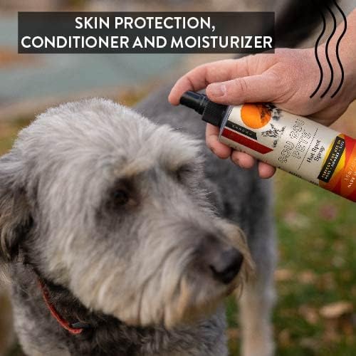 Hot Spot Spray Holistic Natural Derived Herbal for Dogs, Cats and Horses: Fast Acting to Soothe Hot Spots, Relieve Irritated Skin, Rash, and Seasonal Allergies - Made in USA - 8 oz