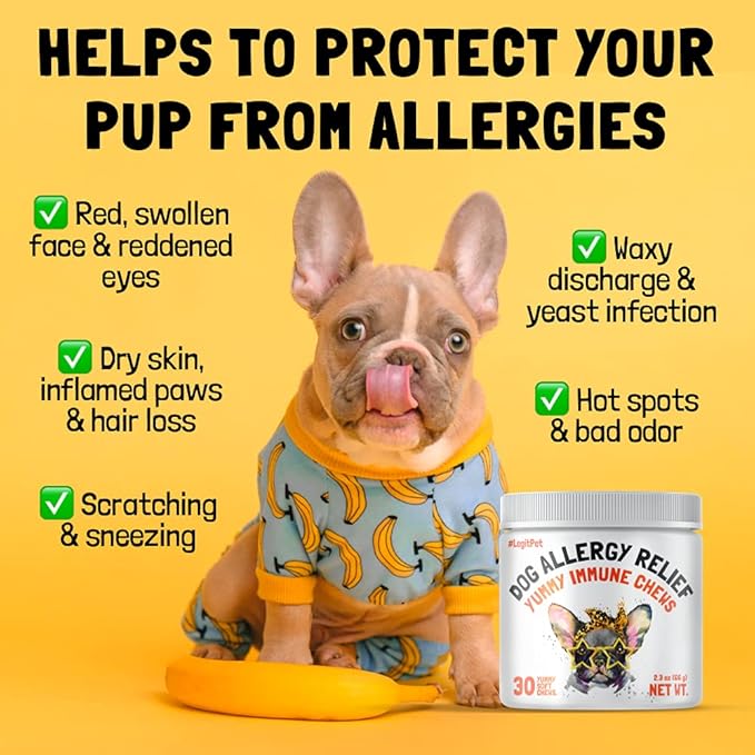 Allergy Relief Chews for Dogs & Immune & Digestive Supplement with Wild Salmon Oil Kelp Colostrum Turmeric Probiotics & Bee Pollen for Seasonal Allergies Anti Itch, Skin Hot Spots Soft Treats