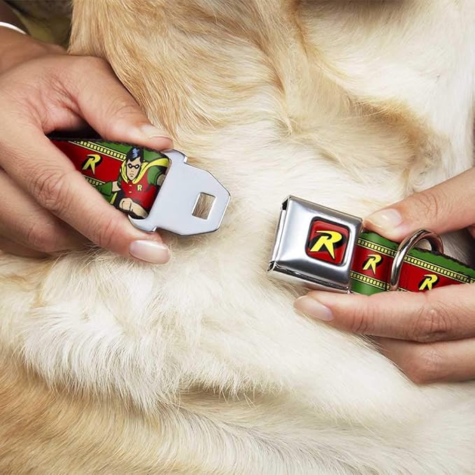 Dog Collar Seatbelt Buckle Robin Action Pose Logo Stripe Green Yellow Red Black 9 to 15 Inches 1.0 Inch Wide