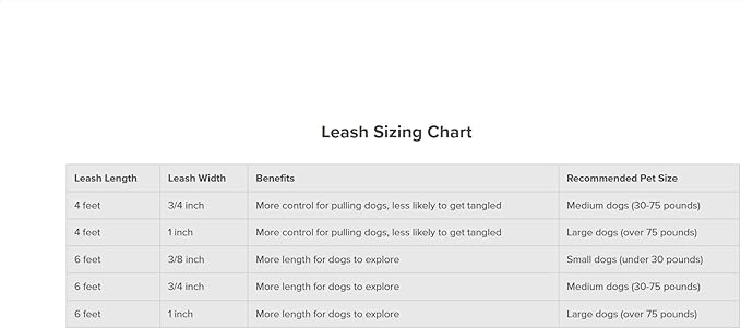 PetSafe Nylon Dog Leash - Strong, Durable, Traditional Style Leash with Easy to Use Bolt Snap - 3/4 in. x 6 ft., Raspberry Pink