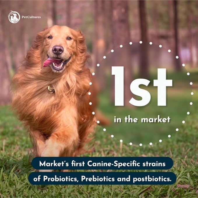Daily Probiotics for Dogs, Gut Health PRE, PRO, and Post-biotic Powder Supplement with Digestive Enzymes, Dog Probiotics for Digestive Health, 30 Packs