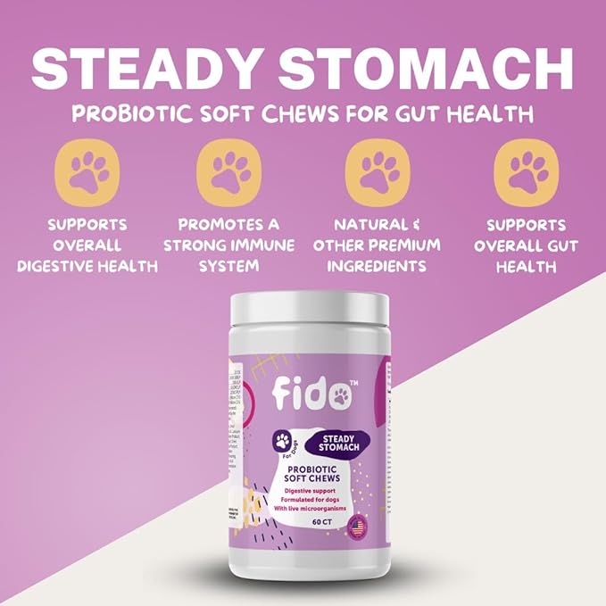 Fido Steady Stomach Probiotic Soft Chews, Chicken Flavor, 60 Chews | Organic Digestive Supplements | Supports Gut Health & Sensitive Stomachs | Veterinarian Approved for All Life Stages