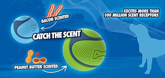 Chuckit! Sniff Ball Dog Toy, Durable High Bounce Bacon and Peanut Butter Scented Rubber Dog Ball Fetch Toy, Medium, 2 Pack