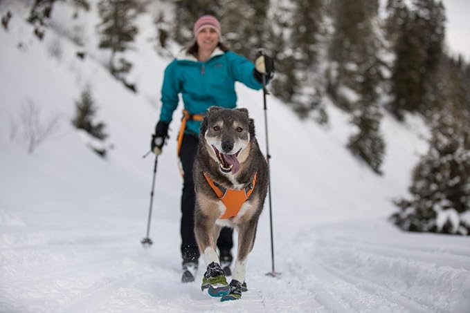 Ruffwear, Omnijore System for Dog Joring, Running, and Hiking with Harness, Hipbelt, Towline, and Water Bottle, Orange Poppy, Small