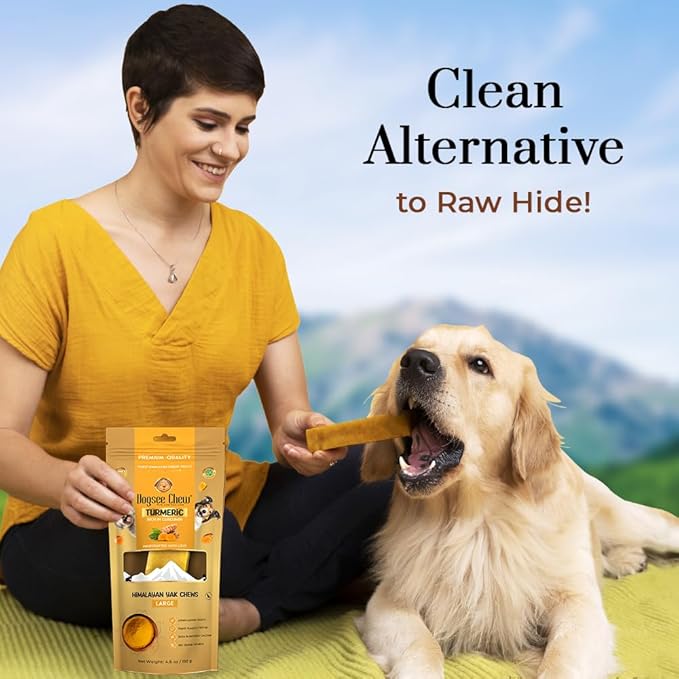 Dogsee Himalayan Yak Milk Dog Chews with Turmeric (Large - 1 Chew) | Help Alleviate Joint Pain | No Rawhide | Calming Dental Chews for Dogs