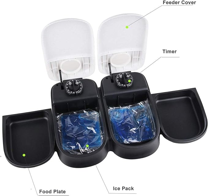 PAWISE Automatic Cat Feeder, 2 Meal, 48-Hour Timer, Dog/Cat Food Dispenser, 1.5 Cups, Schedule Meal or Treat
