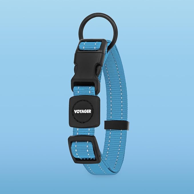 Voyager Reflective Dog Leash Collar Set with Neoprene Handle Supports Small, Medium, and Large Breed Puppies, Cute and Heavy Duty for Walking, Running, and Training - Baby Blue, L