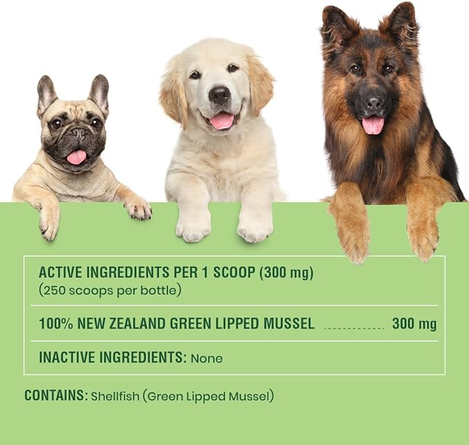 Green Lipped Mussels for Dogs & Cats - Premium Joint Supplement Powder for HIPS, Joints, and Muscles (75 Grams, Up to 250 Servings)